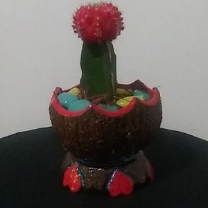 Food safe coconut cup succulus Red Cactus